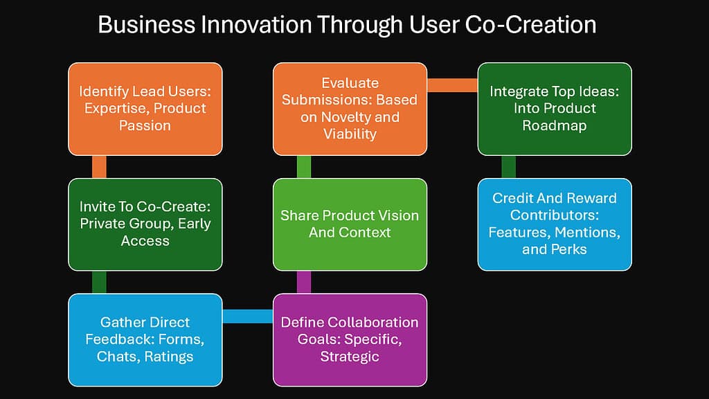 Business Innovation Through User Co-Creation