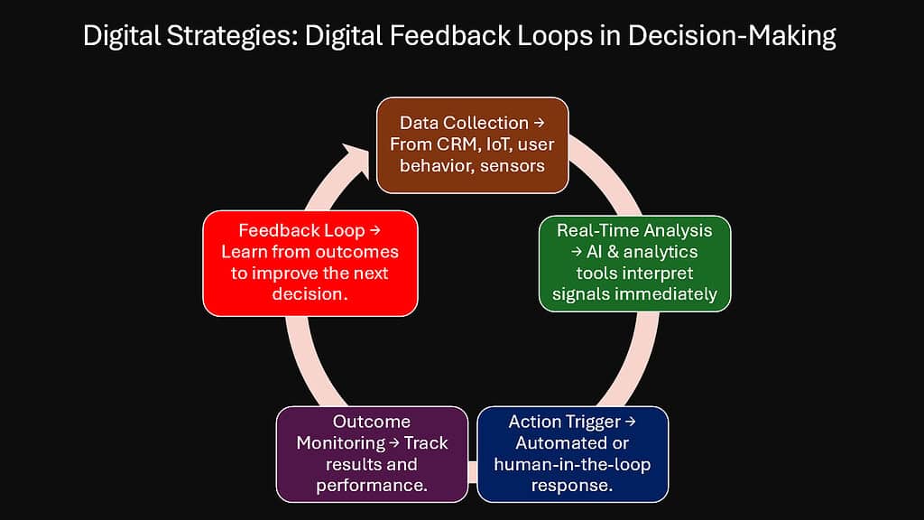 Digital Strategies -- Digital Feedback Loops in Decision-Making