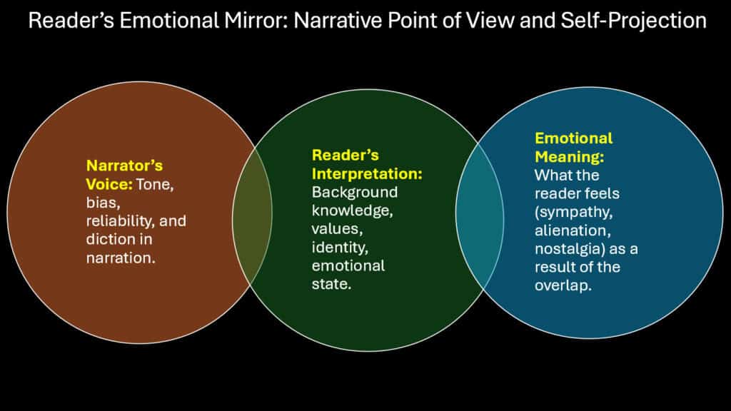 Narrative Point of View and Emotional Disorientation