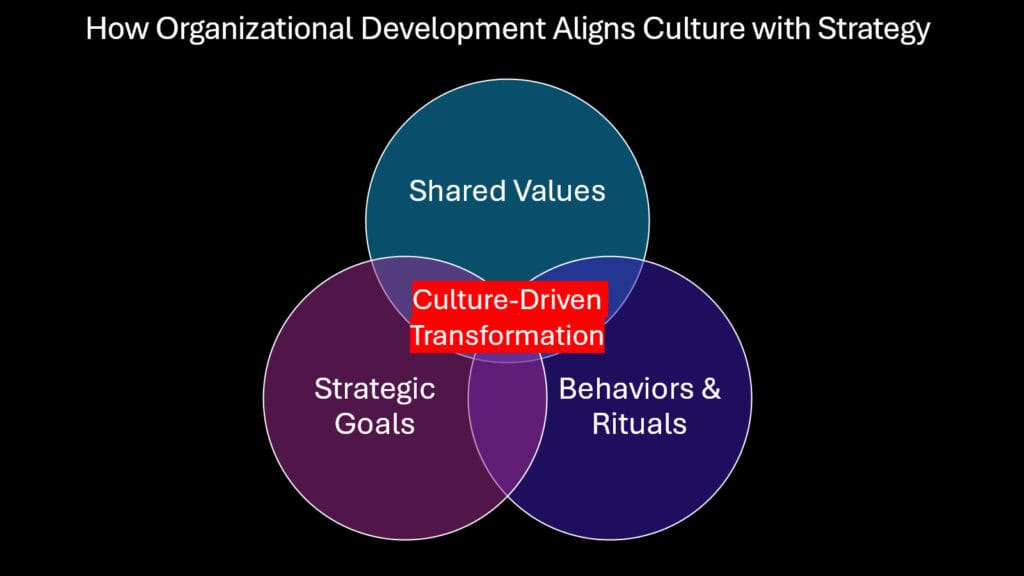 How Organizational Development Aligns Culture with Strategy