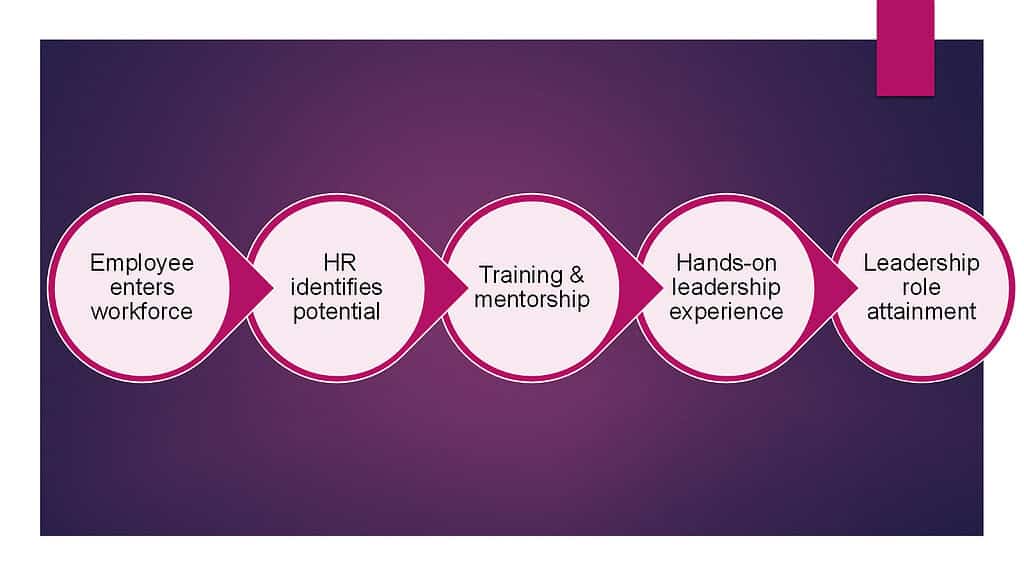 Human Resources and the Role of Leadership Development