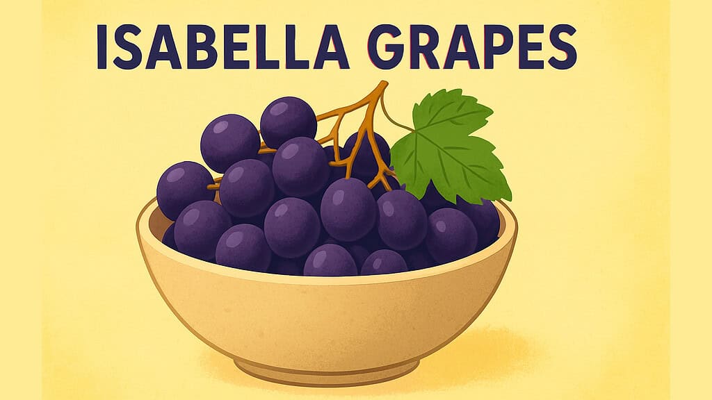 Isabella Grape – Nature's Nutraceutical Gem