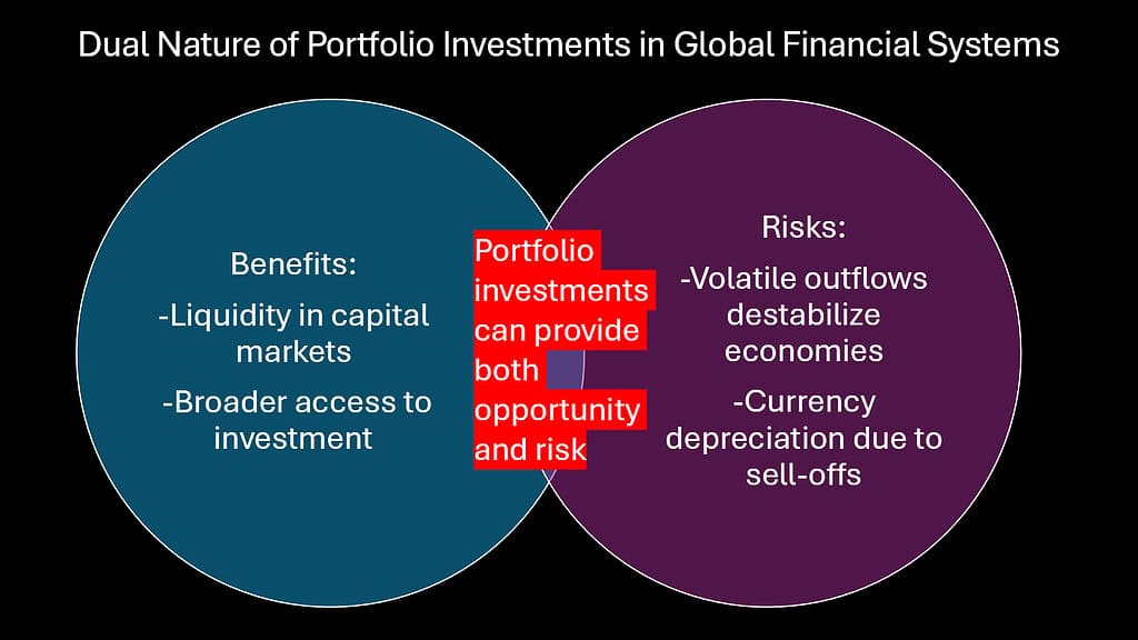 Dual Nature of Portfolio Investments in Global Financial Systems