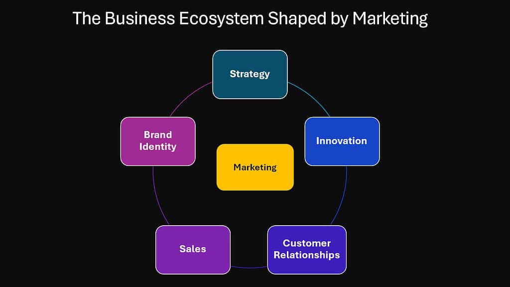 The Business Ecosystem Shaped by Marketing