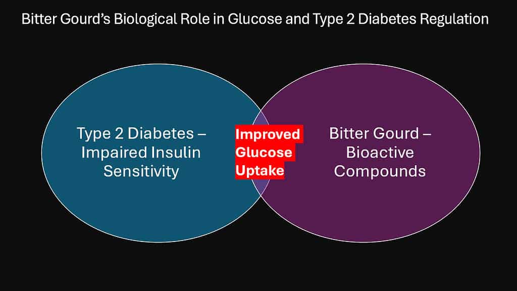 Bitter Gourd’s Biological Role in Glucose and Type 2 Diabetes Regulation