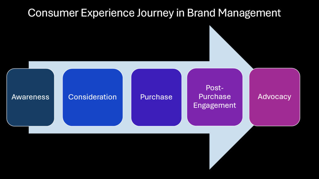 Consumer Experience Journey in Brand Management