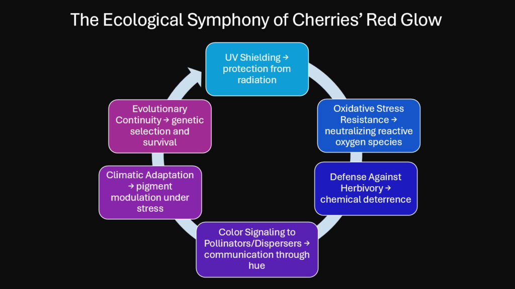 The Ecological Symphony of Cherries’ Red Glow