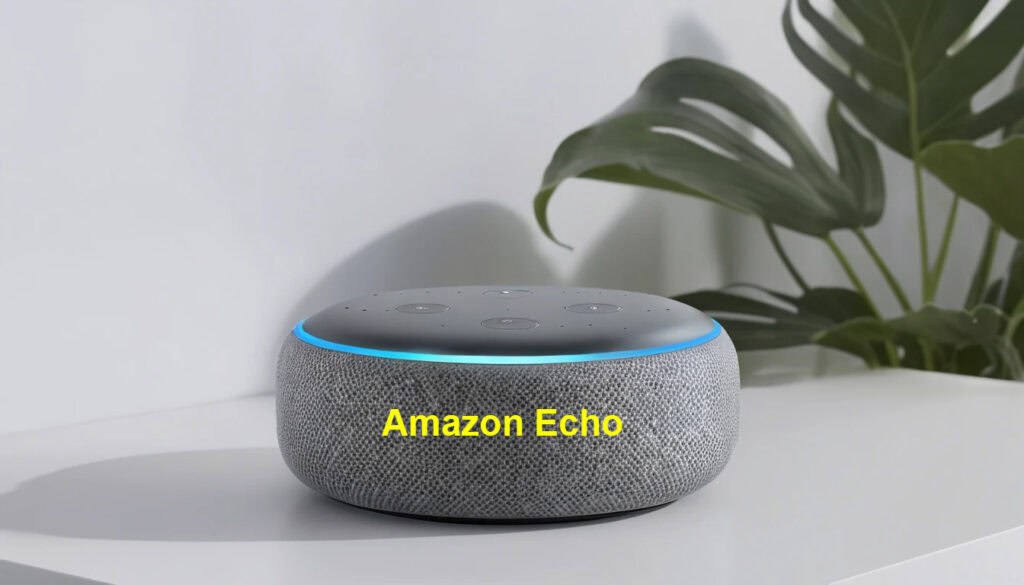 Finding Your Perfect Amazon Echo Match