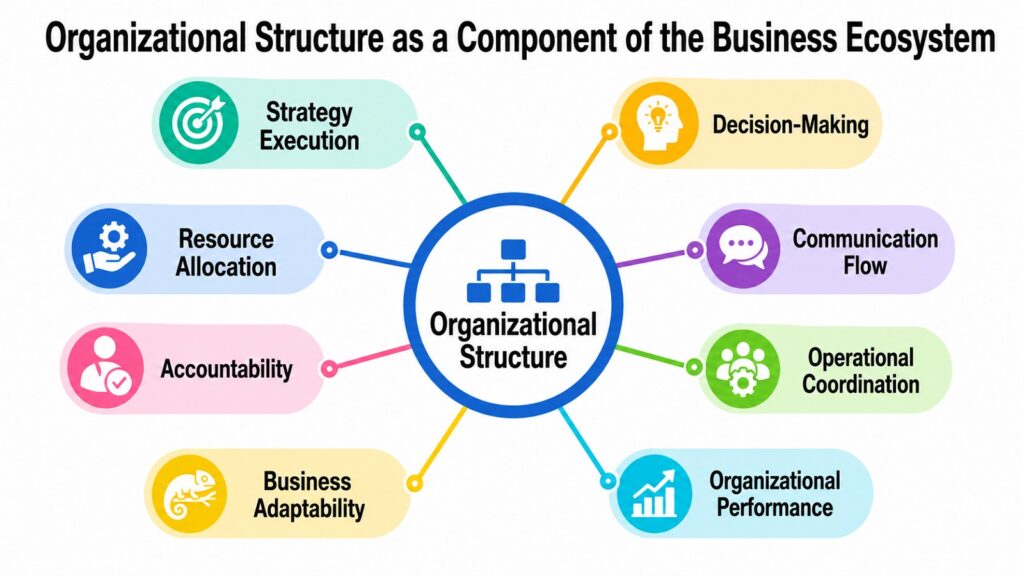 Organizational Structure as a Component of the Business Ecosystem